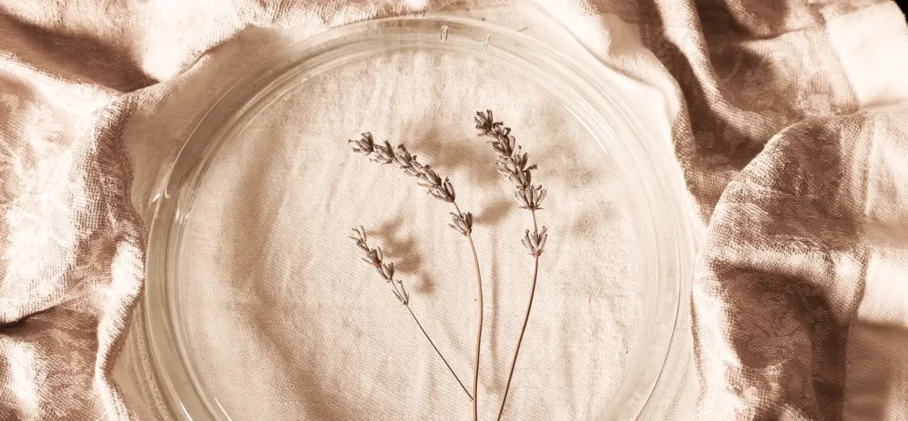 Fabric_Plate_Hero_Image